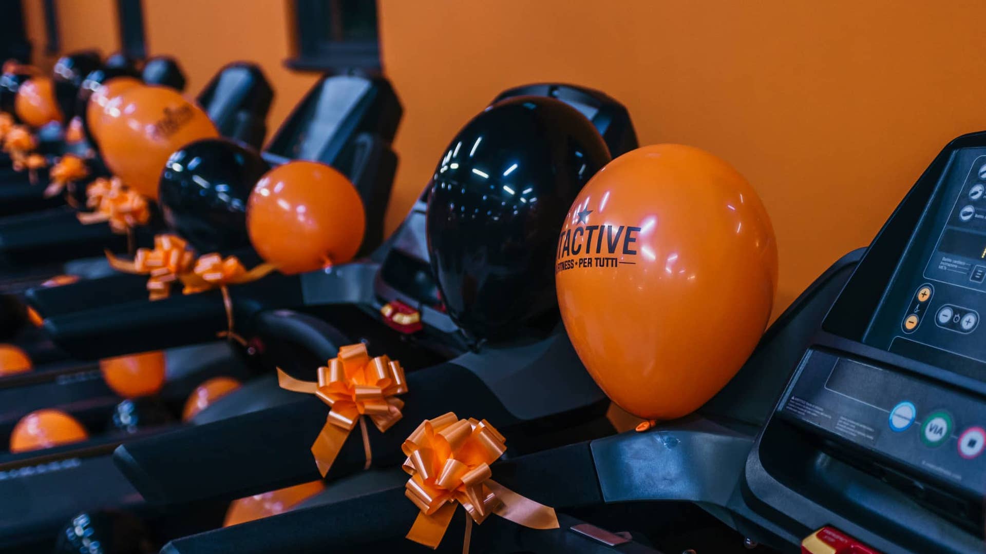 FitActive Curno