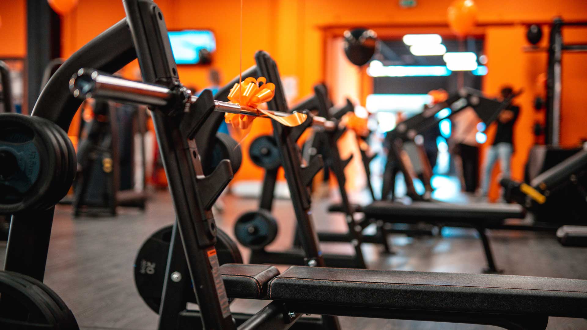 FitActive Torino Bruno