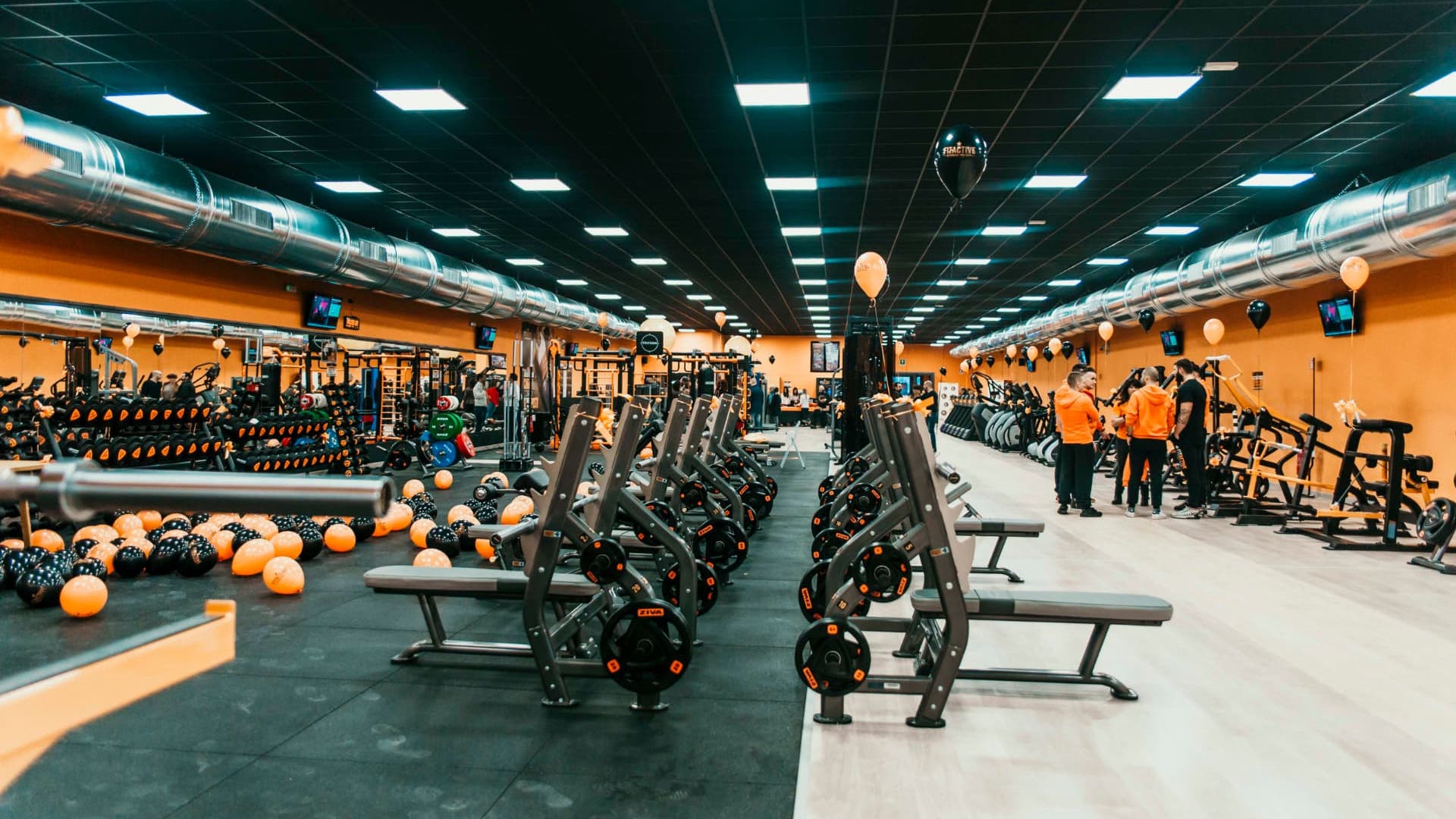 FitActive Zibido